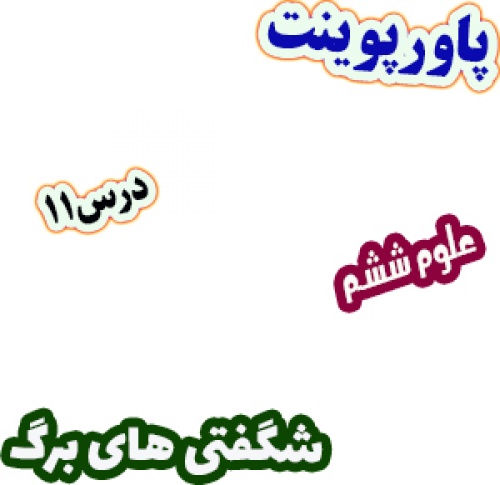 پاورپوینت علوم تجربی ششم، درس 11 : شگفتی های برگ