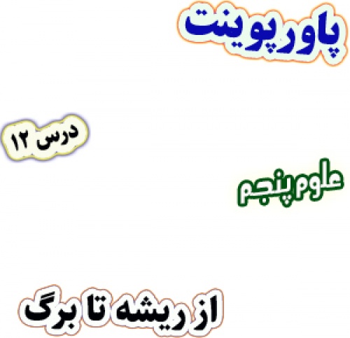 پاورپوینت علوم تجربی پنجم، درس 12: از ریشه تا برگ