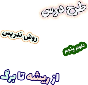 طرح درس و روش تدریس علوم پنجم، درس12 : از ریشه تا برگ