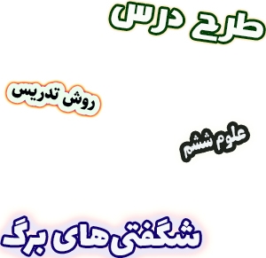 طرح درس و روش تدریس علوم ششم، درس11: شگفتی های برگ