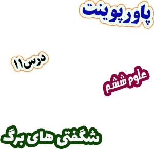 پاورپوینت علوم تجربی ششم، درس 11 : شگفتی های برگ