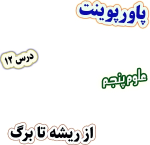 پاورپوینت علوم تجربی پنجم، درس 12: از ریشه تا برگ